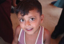 Quarterly Progress Report: February-May 2019