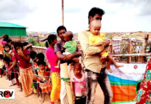 Quarterly Progress Report